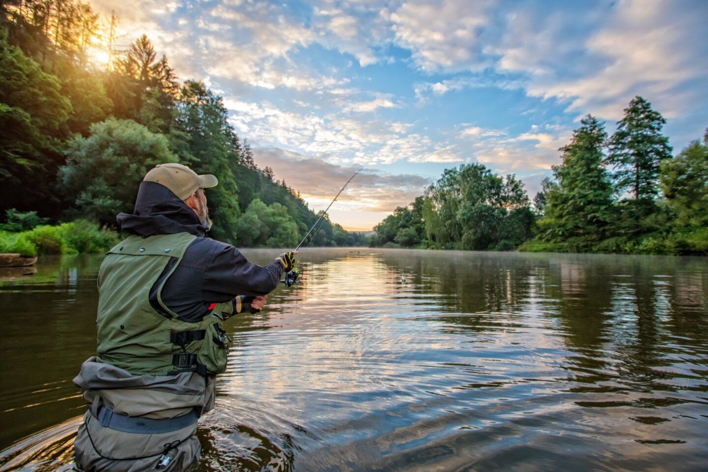De Samenwerking Tussen Dtch Digitals En The Carp Specialist