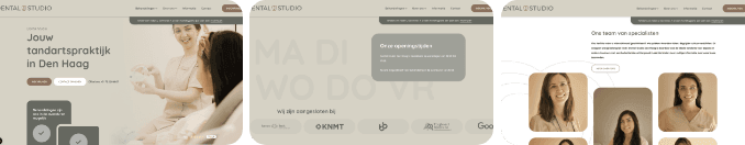 Voorbeeld Webdesign En Meerdere Ux Templates Website