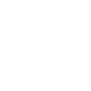 Perplexity Logo