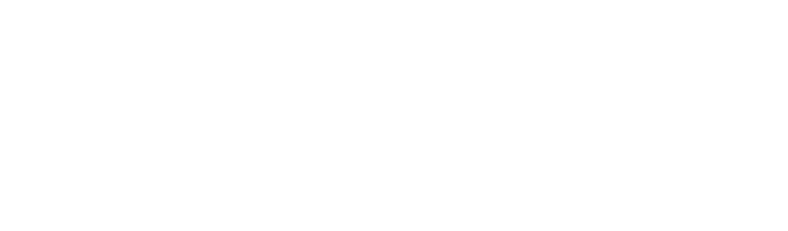 Enlivo Geomarketing
