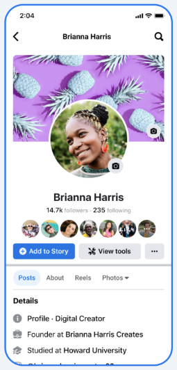 Professionele Modus Facebook Instellen