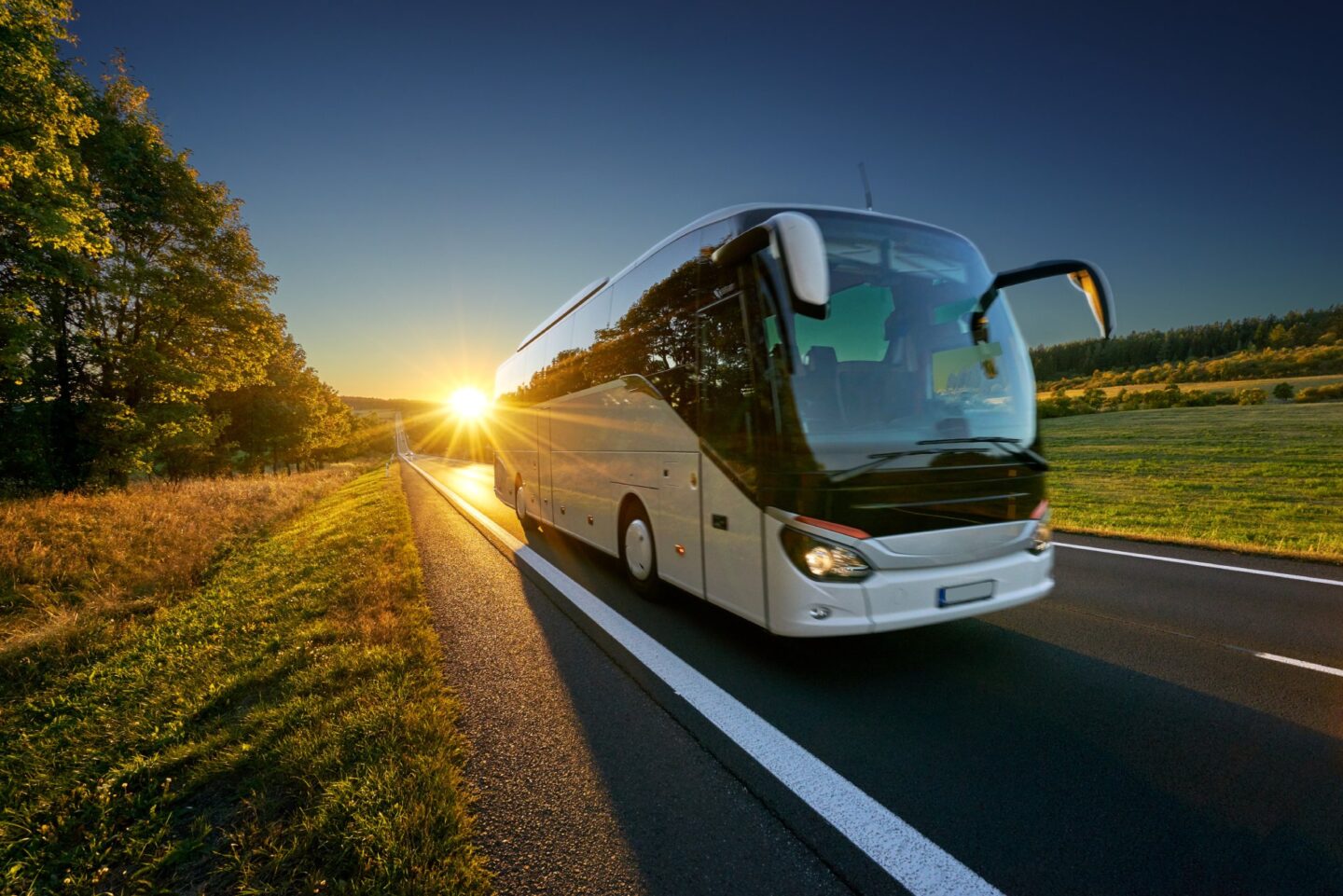 Over Vip Touringcar En Taxi & Tour P. Van De Pol Bv