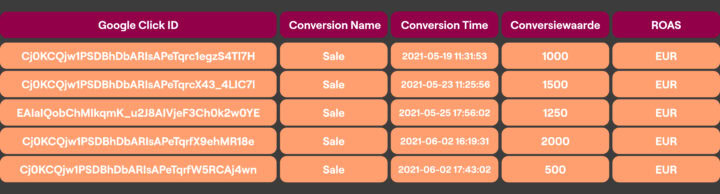Foto Offline Conversion Tracking Template Voorbeeld