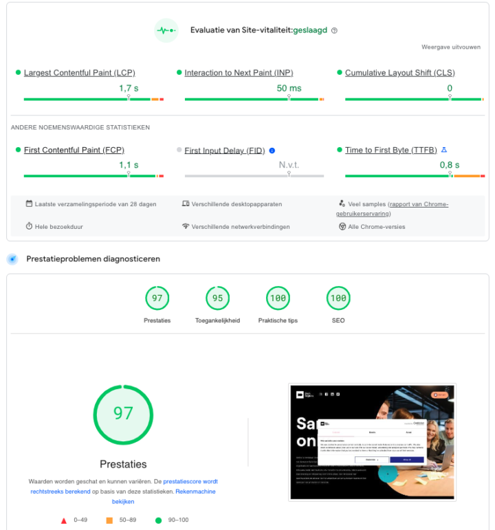 Voorbeeld Pagespeed Insight