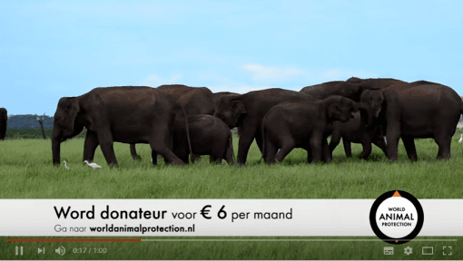Gebruik emotie in video