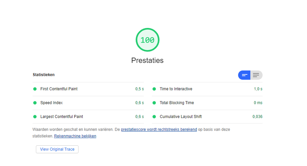 Screenshot van het rapport dat gegenereerd kan worden met de Lighthouse tool in Google Chrome Dev Tools