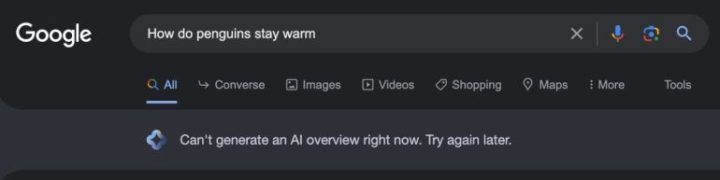 Ai Werkt Niet Sge How Do Penguins Stay Warm