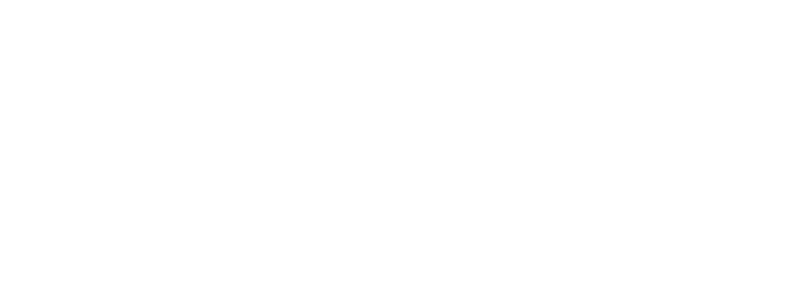 Emerce Top 100 Bureau Dtch. Digitals