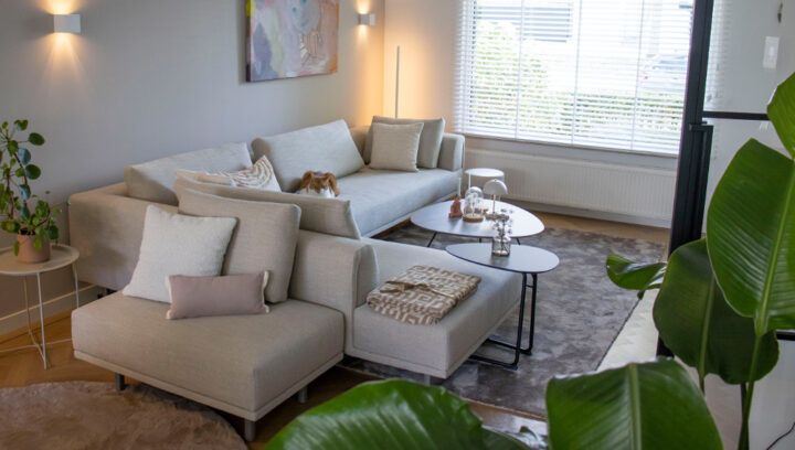Groter In Wonen Samenwerking Dtch Digitals