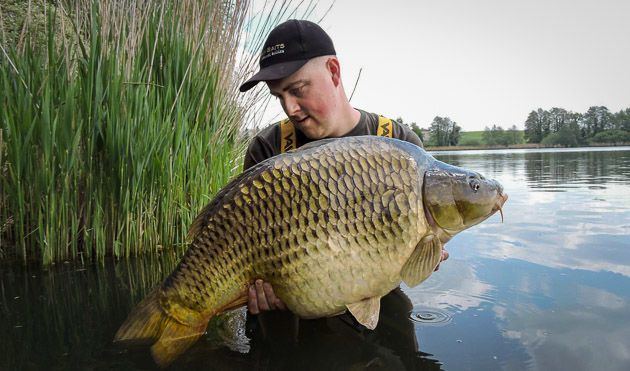 Over The Carp Specialist En De Groei