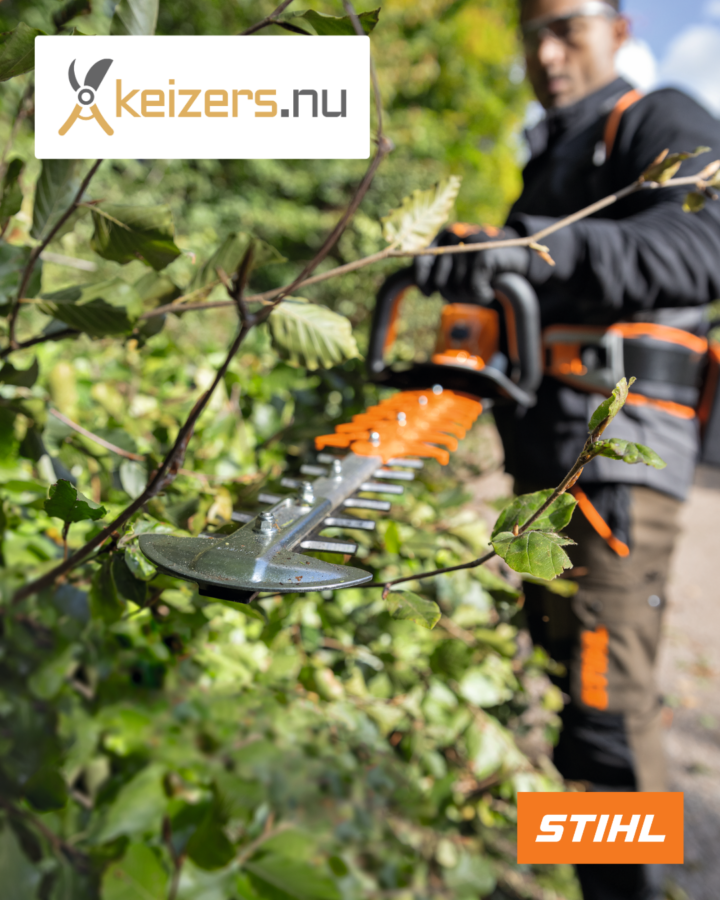 De Uitdaging Van Keizers