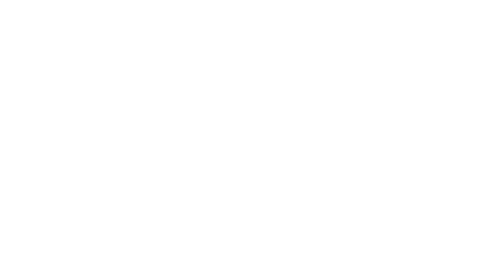 Wordpress Partnerbureau Dtch Digitals