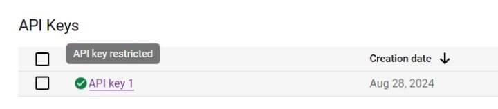 Api Key Restricted