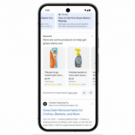 Ads In Ai Overviews