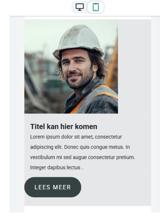Mailchimp Weergave Zonder Update