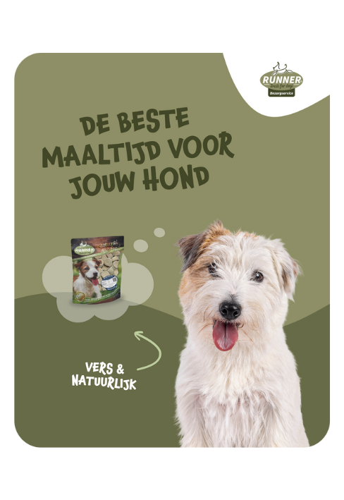 Social Media Visual Laten Maken Door Dtch. Digitals Voorbeelden