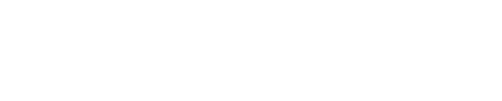 King Erp Logo Diapositief