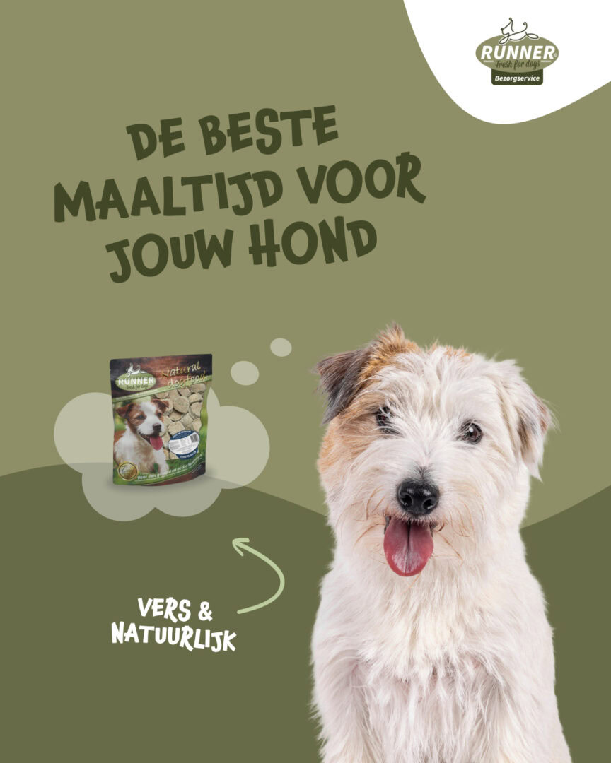 Ad creative