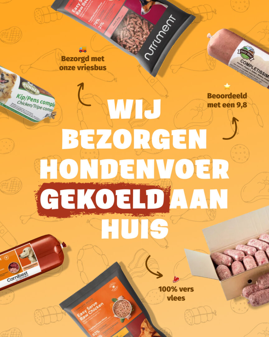 Ad creative voorbeeld