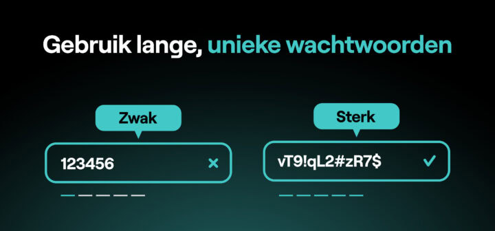 Gebruik Lange, Unieke Wachtwoorden