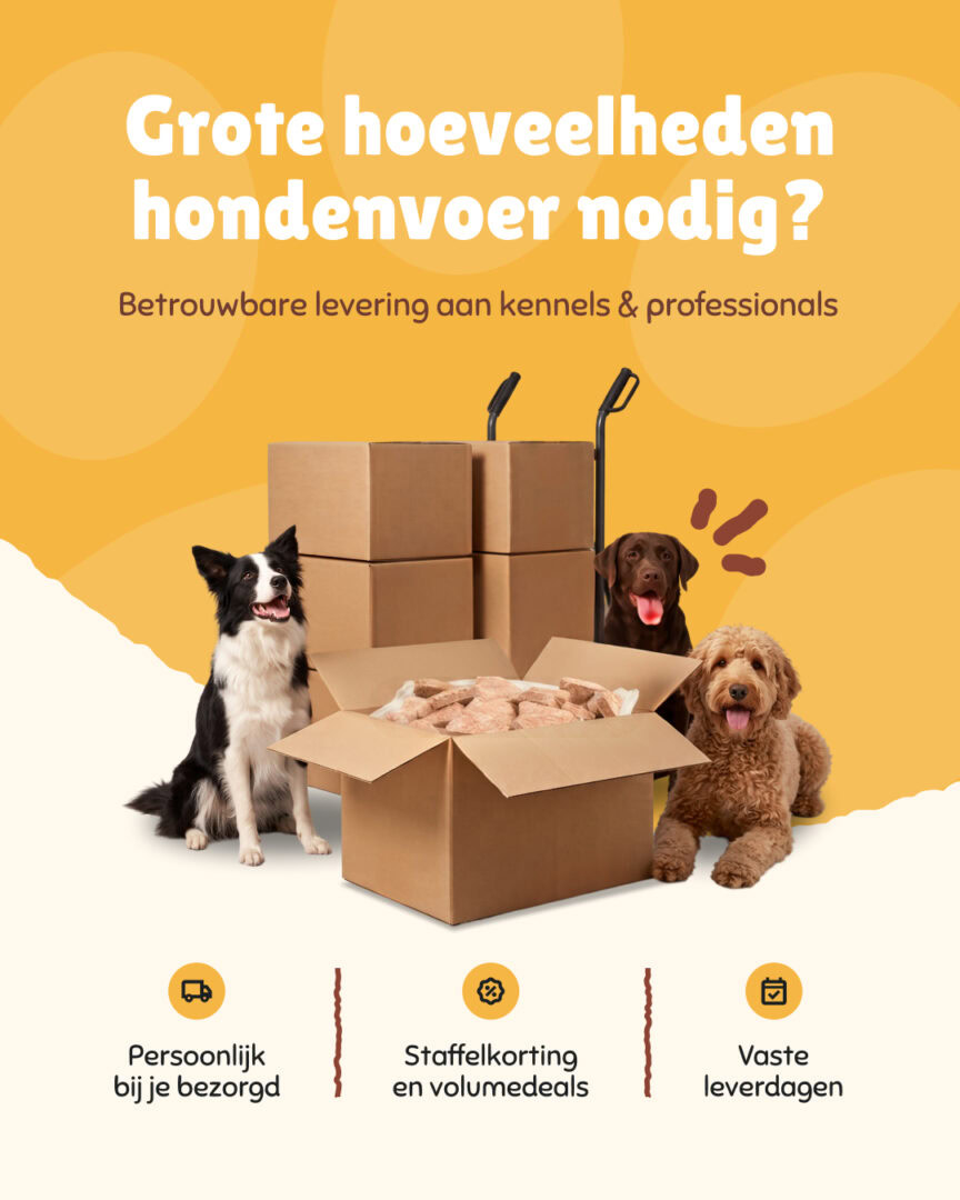 Social Ad 1080x1350